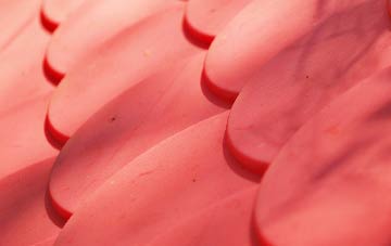 Eastfield plastic roof costs