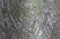 Eastfield fibreglass roof work